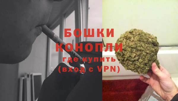 PSILOCYBIN Сатка