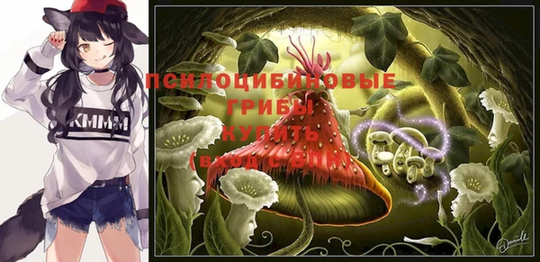PSILOCYBIN Сатка