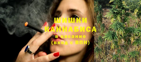 шишки Алексеевка