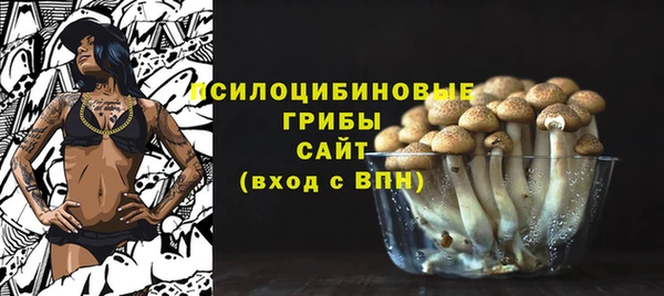 герыч Алзамай