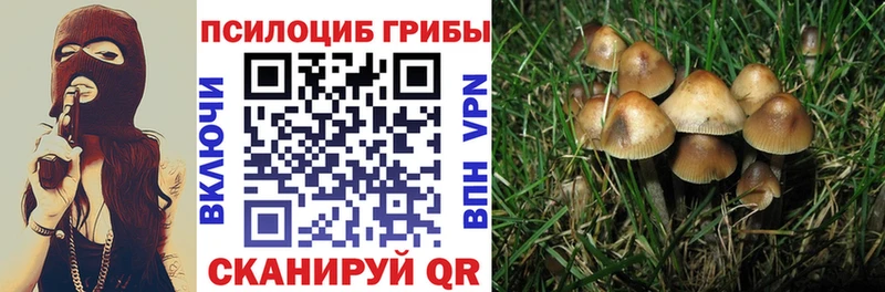 Псилоцибиновые грибы прущие грибы  где купить наркотик  Межгорье 